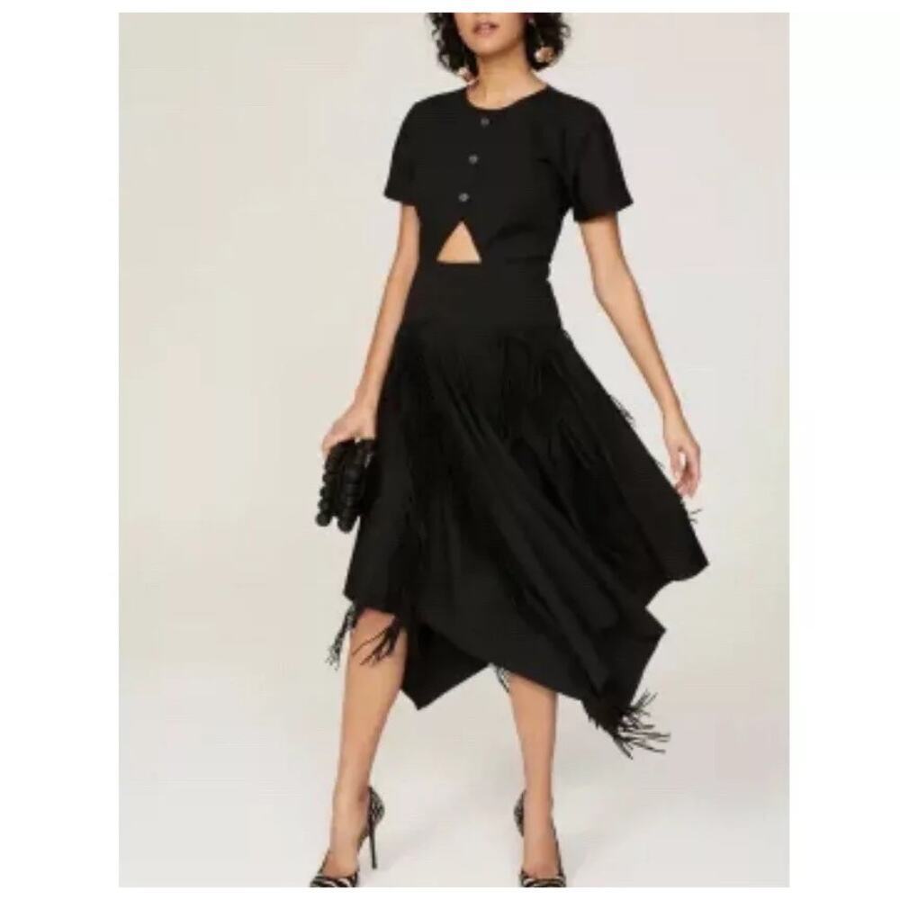 BIBHU MOHAPATRA Black Mid Cutout Fringe Detail Western Midi Dress size 8 - Picture 4 of 11
